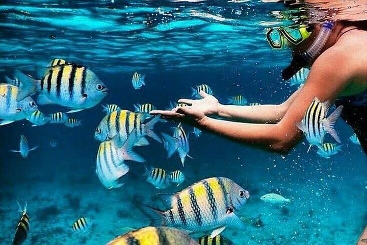 Blue Lagoon Snorkeling and Ubud Waterfalls: A Full-Day Bali Coastal & Waterfall Adventure photo 1
