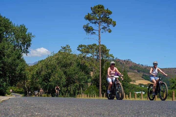 Luxury E-Bike Wine Tour Through Franschhoek Winelands photo 3