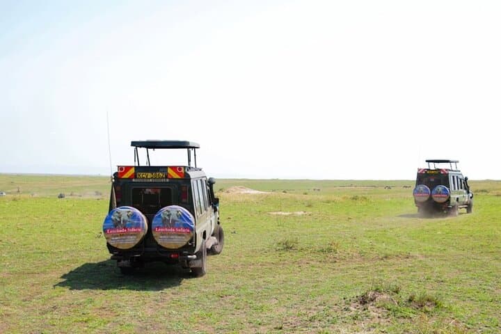 3-Day Masai Mara Migration Safari: Budget 4x4 Game Drives & Tented Camps photo 1