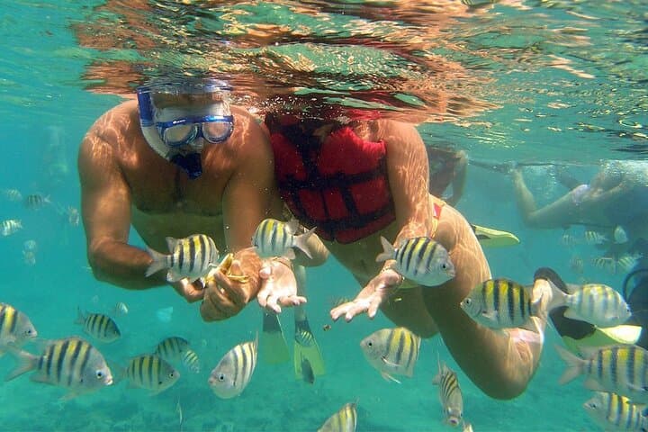 Punta Cana VIP Catamaran Cruise: Snorkeling, Natural Pool & Open‑Bar Experience photo 3