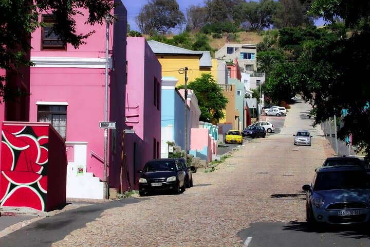 Table Mountain and Cape Peninsula Tour with Penguins: Cableway, Chapman's Peak & Boulders Beach photo 3