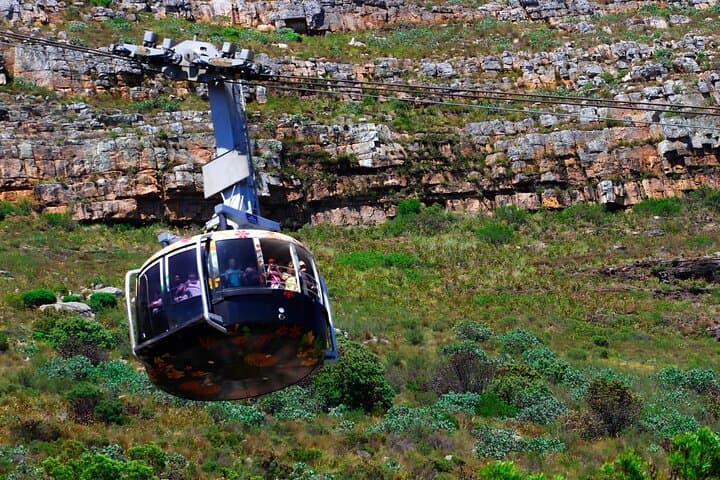 Table Mountain and Cape Peninsula Tour with Penguins: Cableway, Chapman's Peak & Boulders Beach photo 4