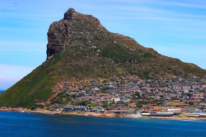 Table Mountain and Cape Peninsula Tour with Penguins: Cableway, Chapman's Peak & Boulders Beach photo 6