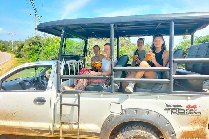 Yala National Park Safari from Hambantota Port — Leopard & Elephant Jeep Tour photo 4