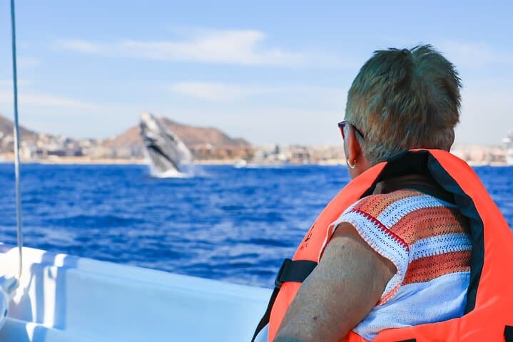 Cabo San Lucas Whale Tour with Certified Guide, Hydrophone & Photos photo 3