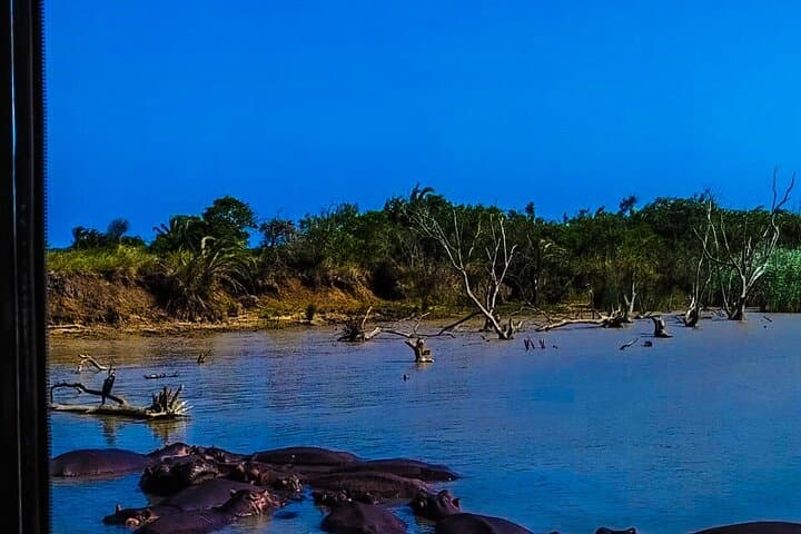 Richards Bay to iSimangaliso: St. Lucia Estuary Boat Cruise Guide photo 4