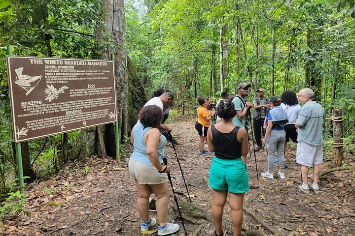 Asa Wright Nature Centre Day Tour from Port of Spain — Birding, Rainforest Walk & Freshwater Swim