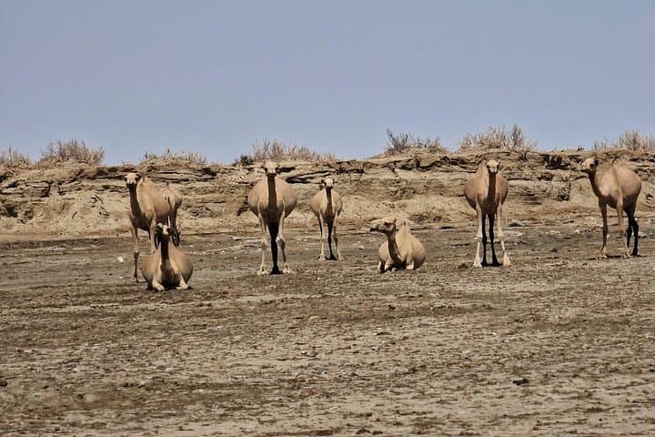 Danakil Depression & Tigray Rock-Hewn Churches: 5-Day Erta Ale and Abune Yemata Adventure photo 4