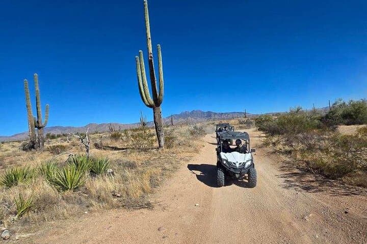 Scottsdale ATV & UTV Sand Buggy Tour in the Sonoran Desert: Guide to a 2‑Hour Off‑Road Rush photo 3