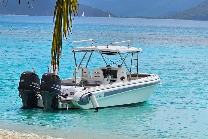Full-Day BVI Charter: Soggy Dollar, Norman Island & The Willy T photo 3