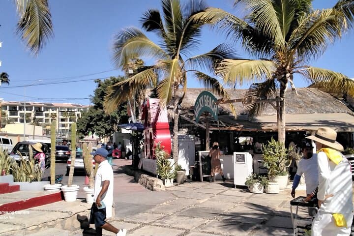 Cabo Combo Tour: Luxury SUV Coastal Drive, Beaches & Tequila Tasting photo 5