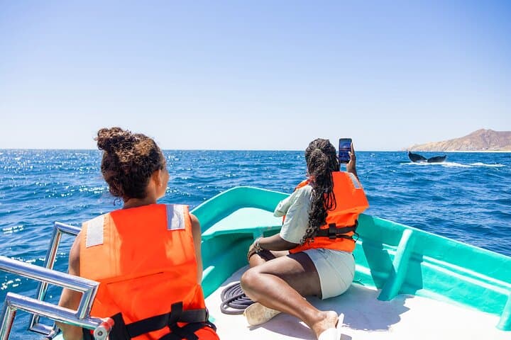 Cabo San Lucas Whale Tour with Certified Guide, Hydrophone & Photos photo 4