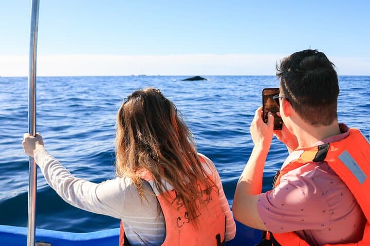 Cabo San Lucas Whale Tour with Certified Guide, Hydrophone & Photos photo 5