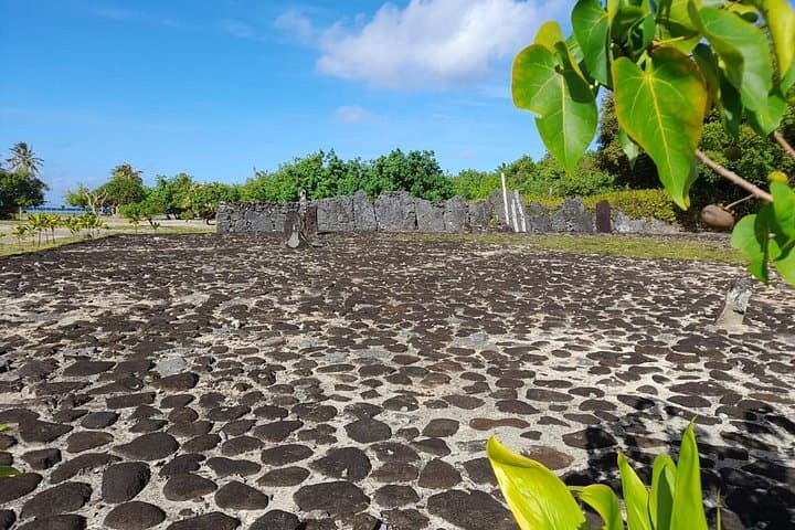 Apetahi Day Trip Around Raiatea — Dolphin Ballets, Snarl of Reefs & Faaroa River photo 3