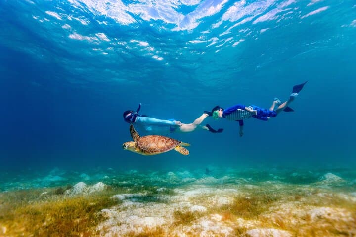 Waikiki Turtle Canyon Snorkel Adventure: Small-Group Raft Tour to Swim with Sea Turtles photo 2