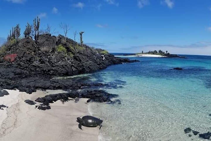 Floreana Island Day Tour — Highlands, Pirate Caves & Snorkeling with Sea Turtles photo 1