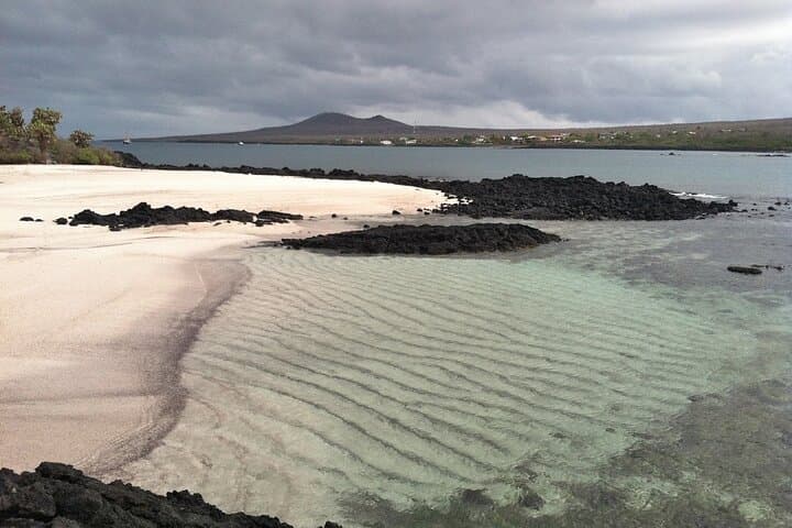 Floreana Island Day Tour — Highlands, Pirate Caves & Snorkeling with Sea Turtles photo 2
