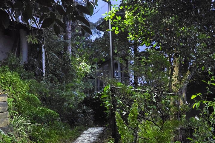 Full-Day Sinharaja Rainforest Adventure to Kekuna Ella & Pathan Oya photo 6