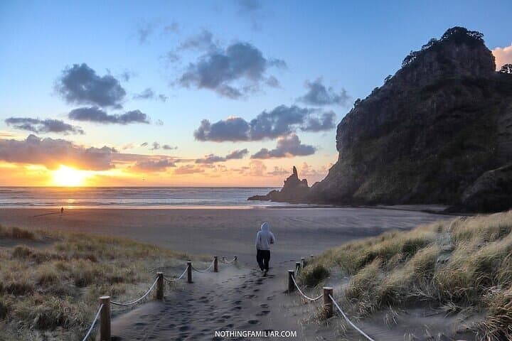 Piha Beach Private Tour — West Coast Discovery from Auckland photo 3