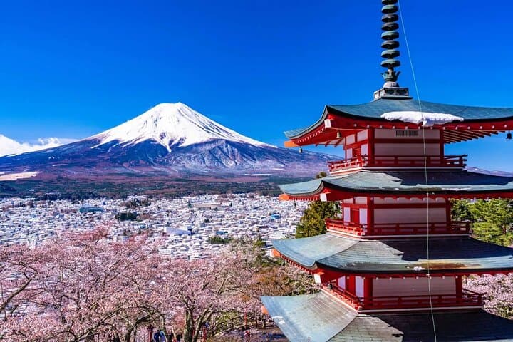Full-Day Private Tour: Mount Fuji, Kawaguchiko, Oshino Hakkai & Chureito Pagoda photo 1