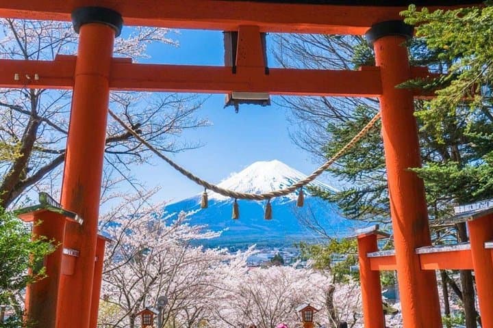 Full-Day Private Tour: Mount Fuji, Kawaguchiko, Oshino Hakkai & Chureito Pagoda photo 2