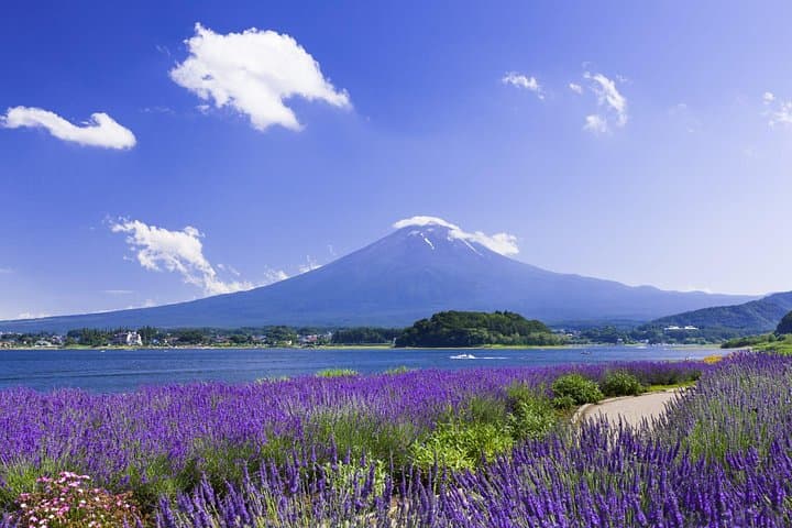 Full-Day Private Tour: Mount Fuji, Kawaguchiko, Oshino Hakkai & Chureito Pagoda photo 3