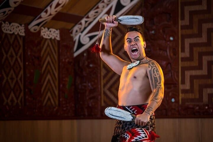 Waitomo Glowworm Caves and Te Puia Rotorua Private Day Tour from Auckland photo 1