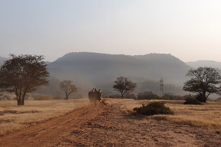 Ranthambore Official Guided Tiger Safari — Sharing Canter Experience