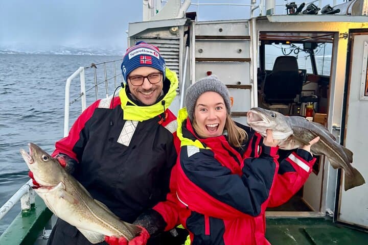 Tromso Sea Safari: Cod Fishing and Coastal Wildlife Cruise photo 1