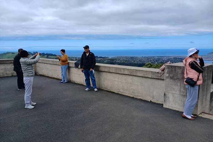 Dunedin & Otago Peninsula Private Shore Excursion — Larnach, Baldwin Street & Wildlife (4.5 hrs) photo 2