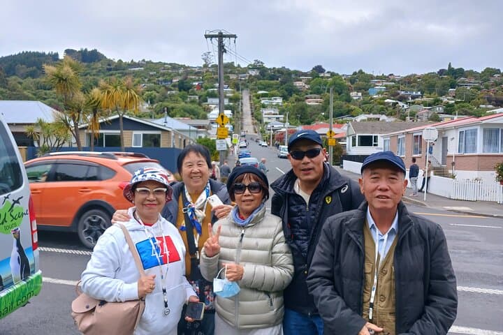 Dunedin & Otago Peninsula Private Shore Excursion — Larnach, Baldwin Street & Wildlife (4.5 hrs) photo 5