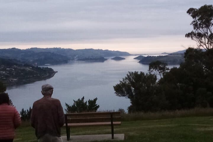 Dunedin & Otago Peninsula Private Shore Excursion — Larnach, Baldwin Street & Wildlife (4.5 hrs) photo 6