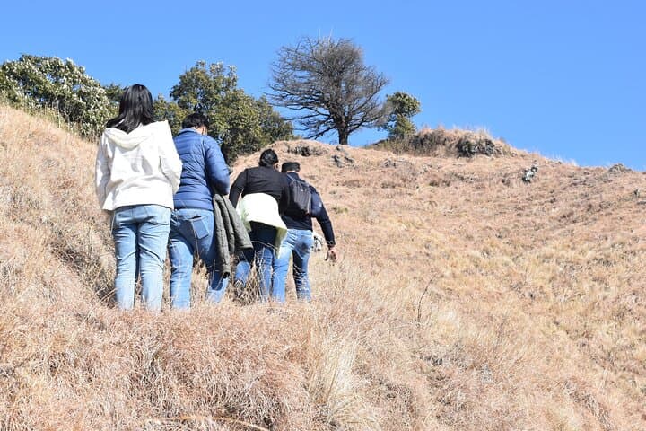 Benog Trek into the Wild: Mussoorie Forest Hike with Himalayan Views