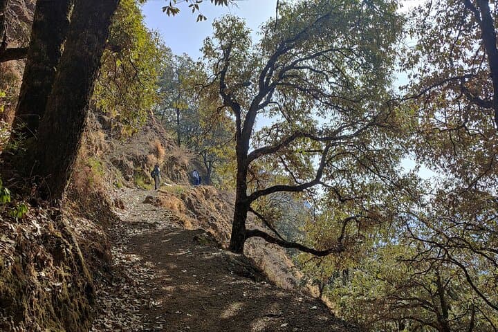 Benog Trek into the Wild: Mussoorie Forest Hike with Himalayan Views photo 3