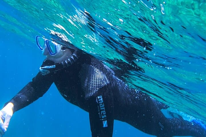 Sesimbra Snorkel Boat Trip: Explore Arrábida’s Kelp Forests and Rocky Reefs photo 5
