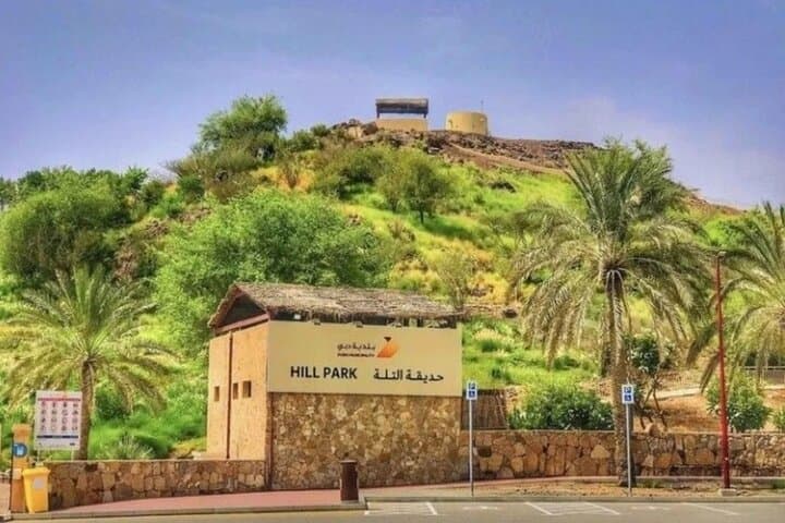 Hatta 4WD Day Trip: Hajar Mountains, Hatta Dam Kayaking & Heritage Visit
