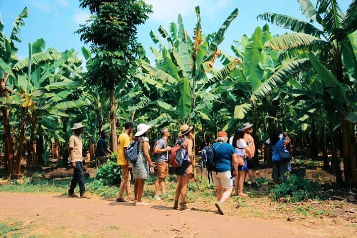 Materuni Waterfall & Chemka Hot Springs Day Tour — Hike, Coffee, and Kilimanjaro Views photo 2