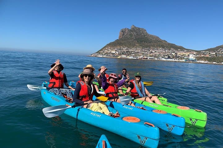 Hout Bay Sea Kayak Tour: 90-Min Guided Paddle with Seals, Dolphins & Chapman’s Peak Views photo 2