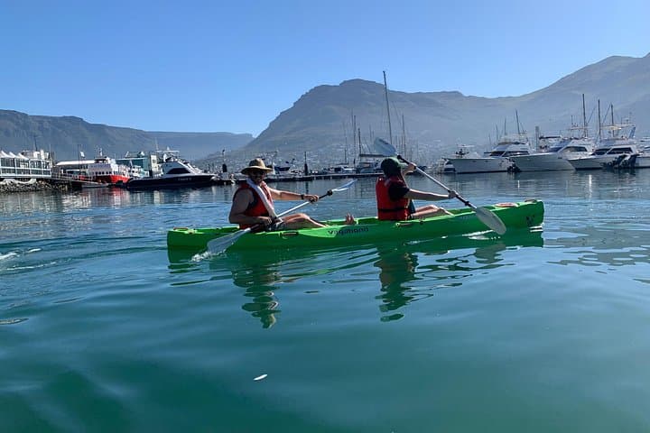 Hout Bay Sea Kayak Tour: 90-Min Guided Paddle with Seals, Dolphins & Chapman’s Peak Views photo 4
