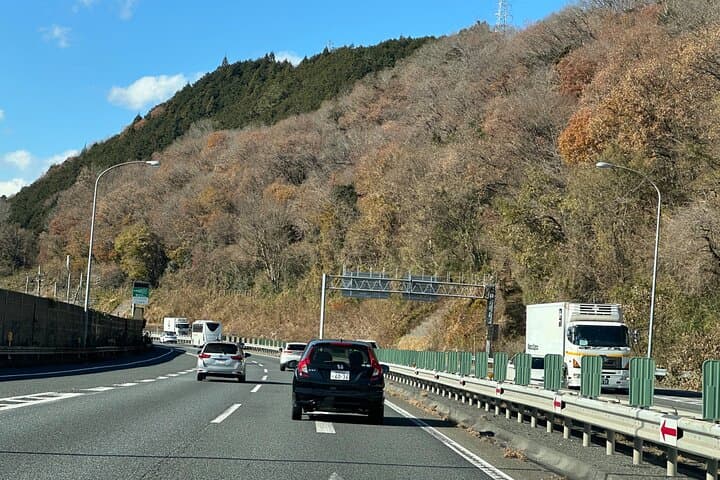 Private Mt Fuji & Hakone Day Tour from Tokyo — Ropeway, Lakes and Scenic Views photo 3