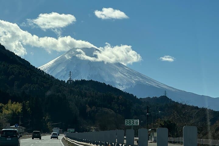 Private Mt Fuji & Hakone Day Tour from Tokyo — Ropeway, Lakes and Scenic Views