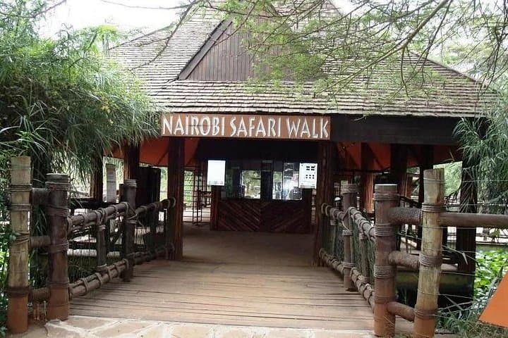 Explore Nairobi Safari Walk and Animal Orphanage: A Wildlife Introduction in The City