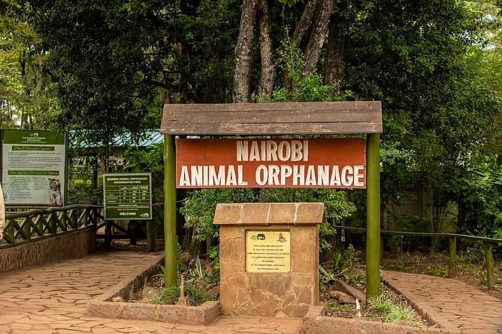 Explore Nairobi Safari Walk and Animal Orphanage: A Wildlife Introduction in The City photo 3