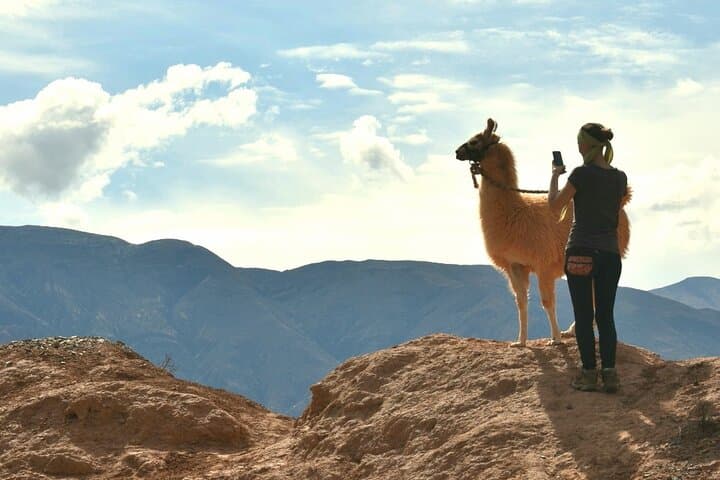 Purmamarca Walk with Llamas: Guided Llama Walk & Geology Tour near Cerro de los Siete Colores photo 6