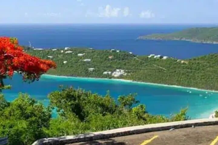 Drive Your Own Adventure Around St. Thomas with Island Buggy Excursions photo 5