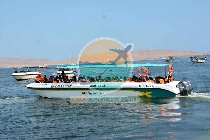 Ballestas Islands Boat Tour from Paracas — Candelabro, Sea Lions & Penguin Colonies