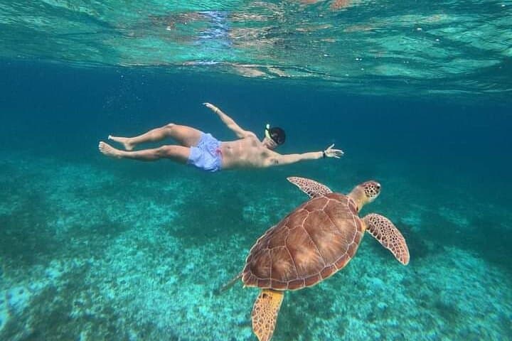Cancun Catamaran to Isla Mujeres: All-Inclusive Day Sail with Buffet & Drinks photo 4