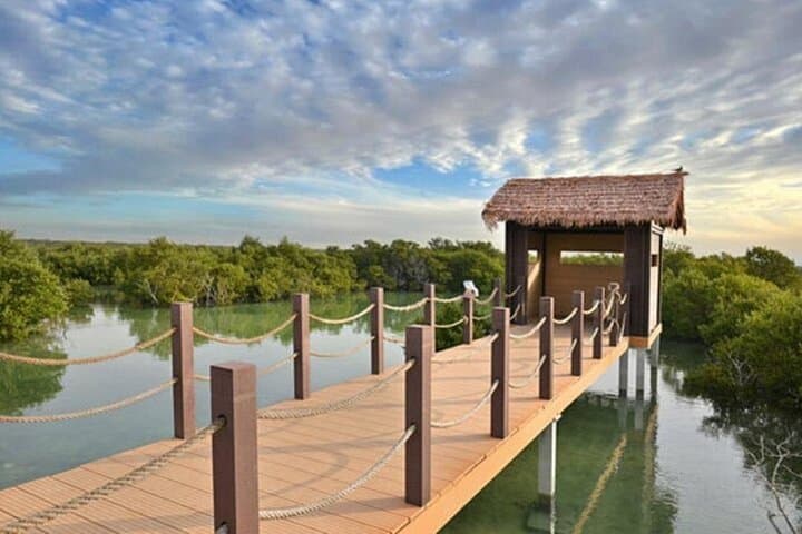 Doha Private North Tour: Zubara Fort, Purple Island & Mangrove Exploration photo 3