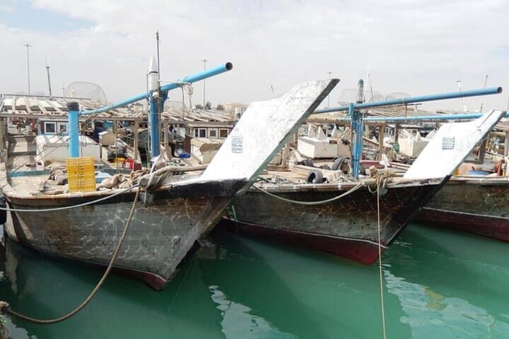 Doha Private North Tour: Zubara Fort, Purple Island & Mangrove Exploration photo 6