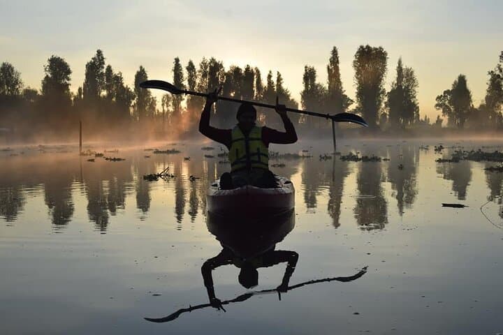 Kayaking the Xochimilco Canals at Sunrise: Agroecological Tour & Axolotl Encounter photo 4